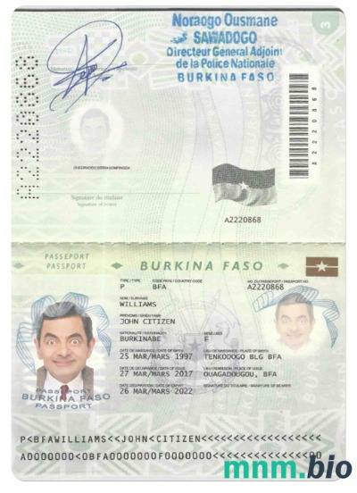 Szablon paszportu Burkina Faso w formacie PSD, w pełni edytowalny (2008 – 2018) przykład w formacie PSD